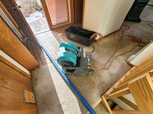 Best Professional water damage repair  in Hughesville, PA