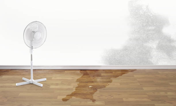 Best Ceiling water damage repair  in Hughesville, PA