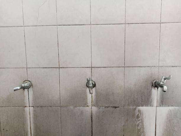 Best Water damage cleanup near me  in Hughesville, PA