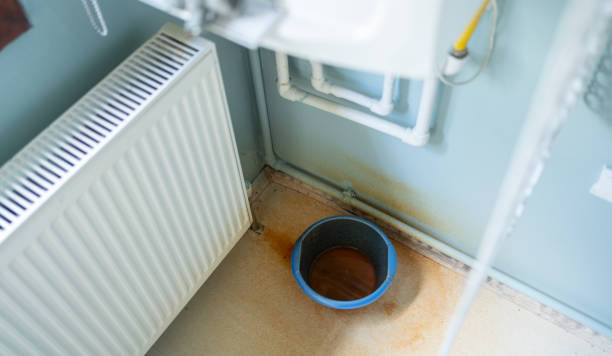 Best Flood damage cleanup  in Hughesville, PA