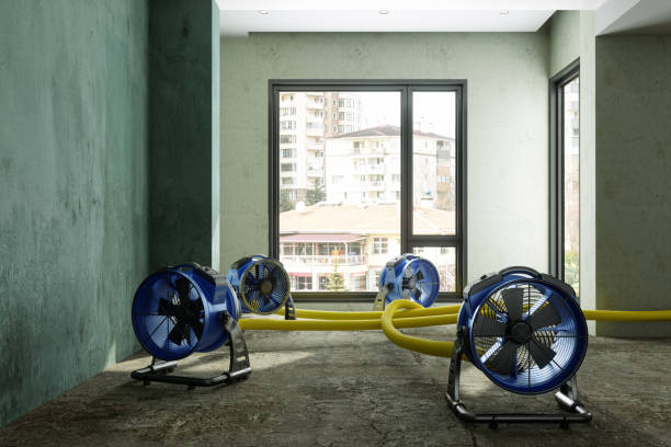 Best Professional water damage repair  in Hughesville, PA